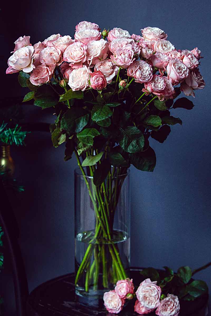 cut-flowers01